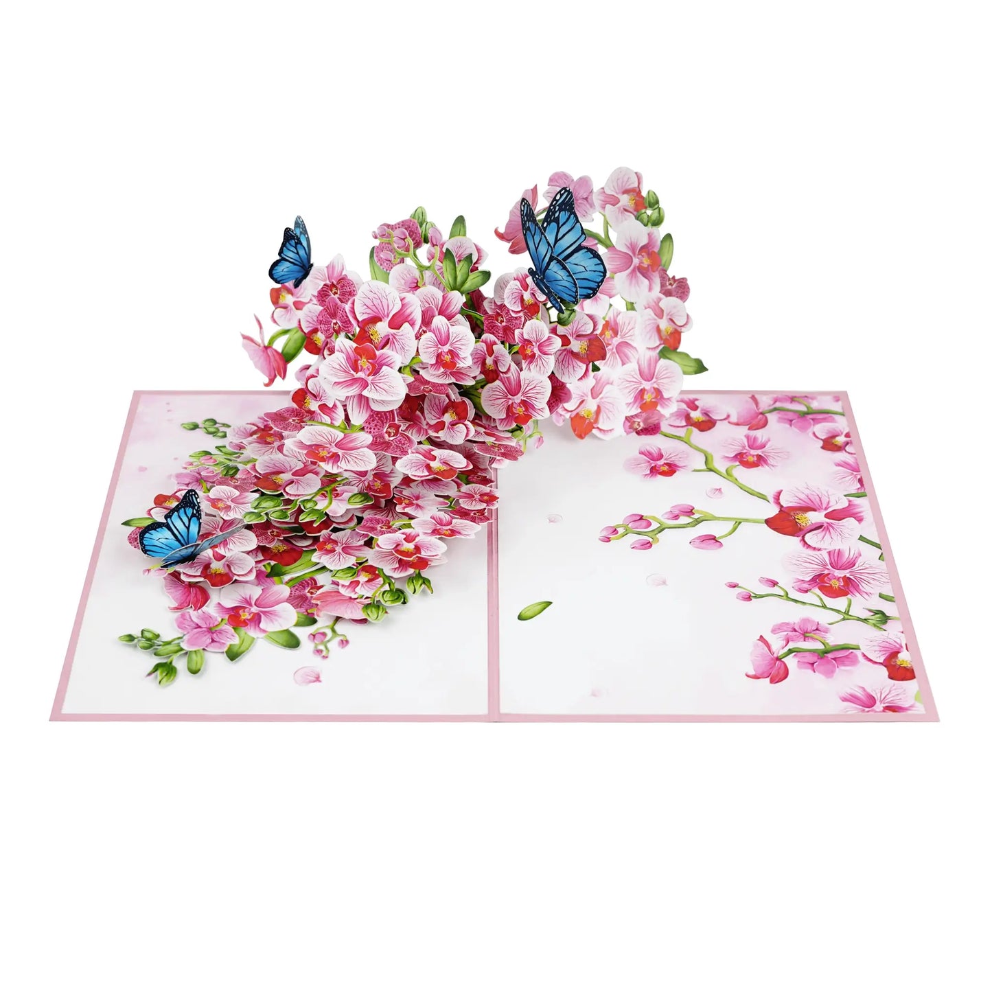 3D Kartka - Orchidea i motyle