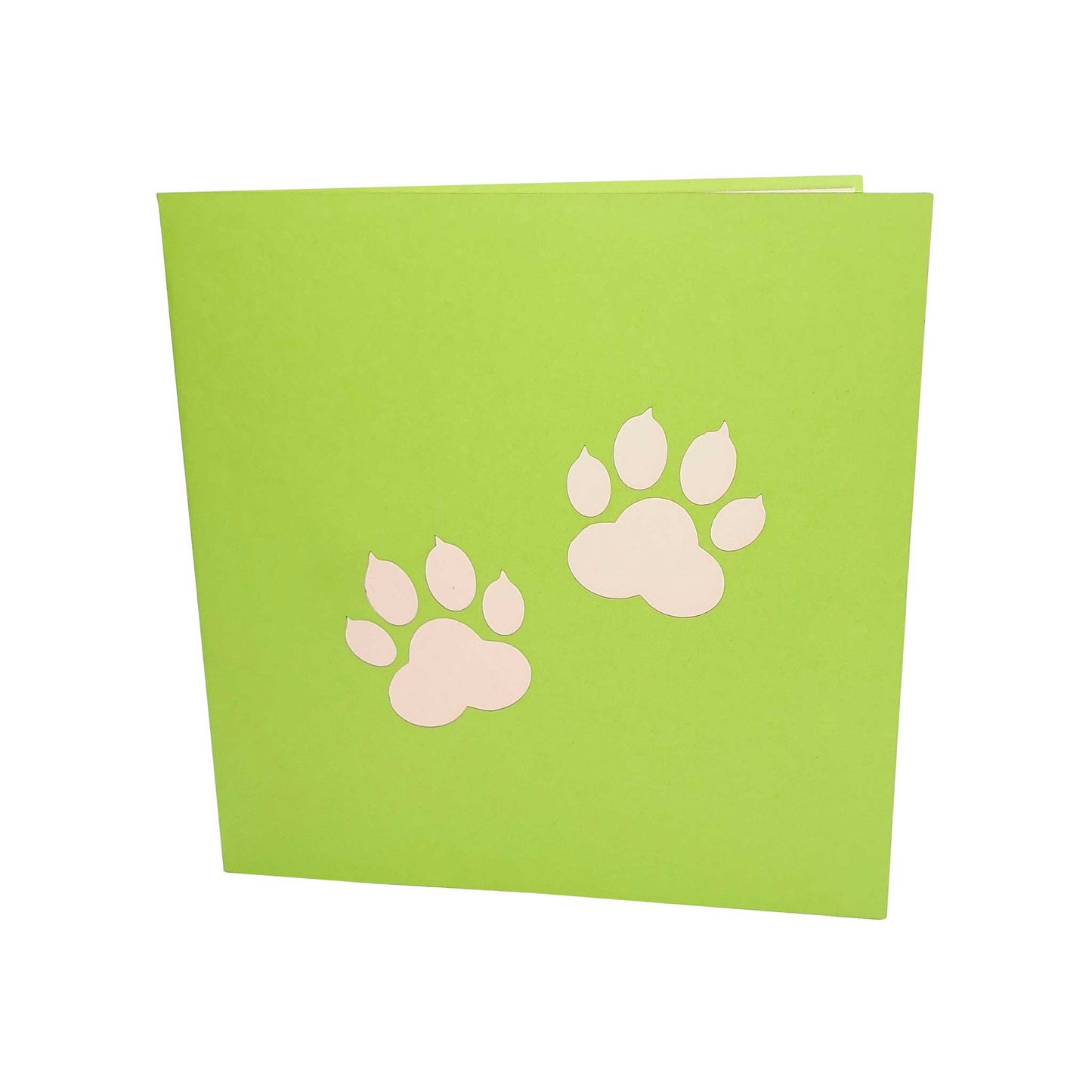 3D Kartka - Border collie