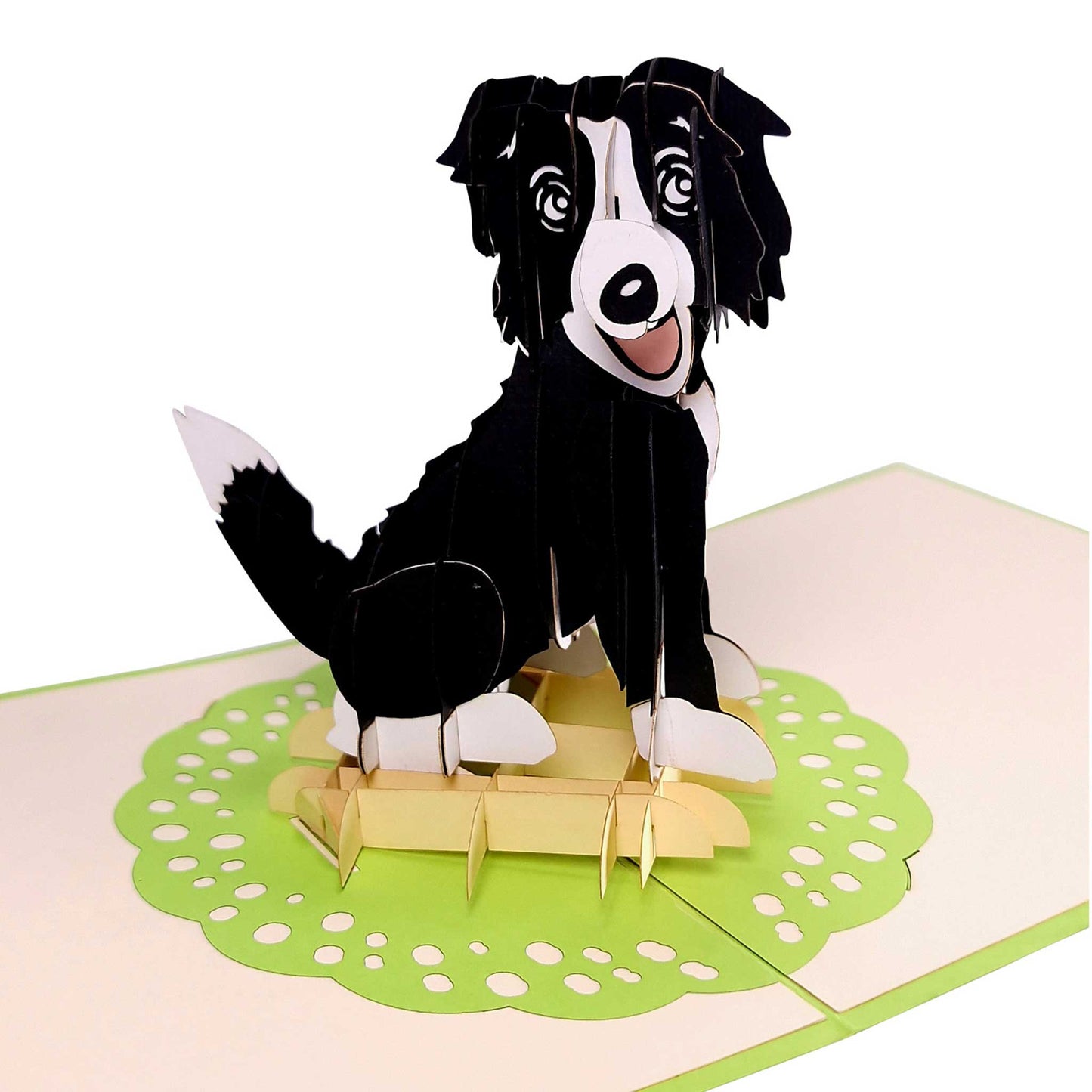 3D Kartka - Border collie