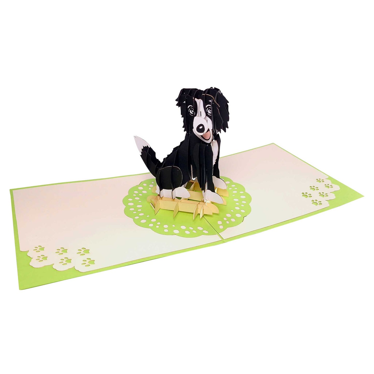 3D Kartka - Border collie