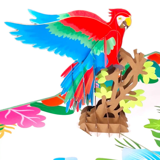 3D Kartka - Papuga